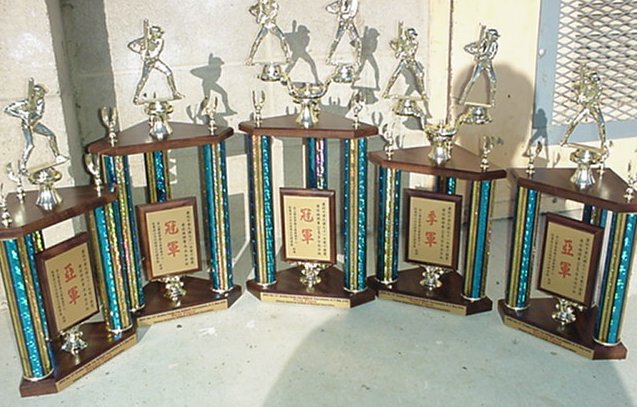 SB_2002_trophies.jpg (76042 bytes)